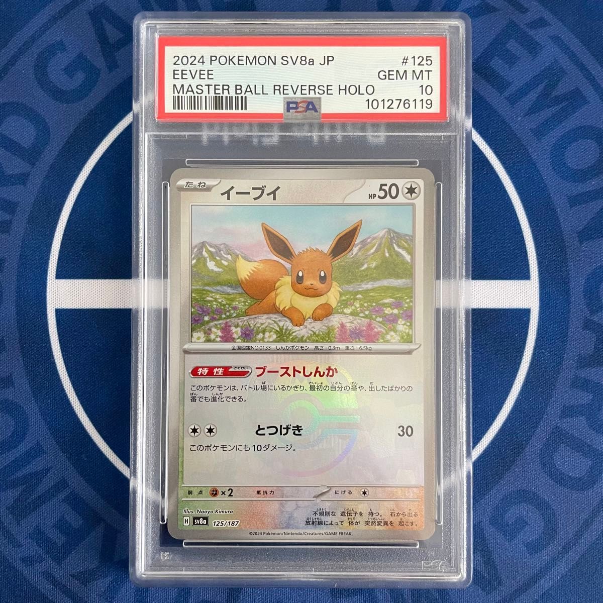 PSA10】ブイズ マスターボールミラー 9枚コンプリートセット【9連番