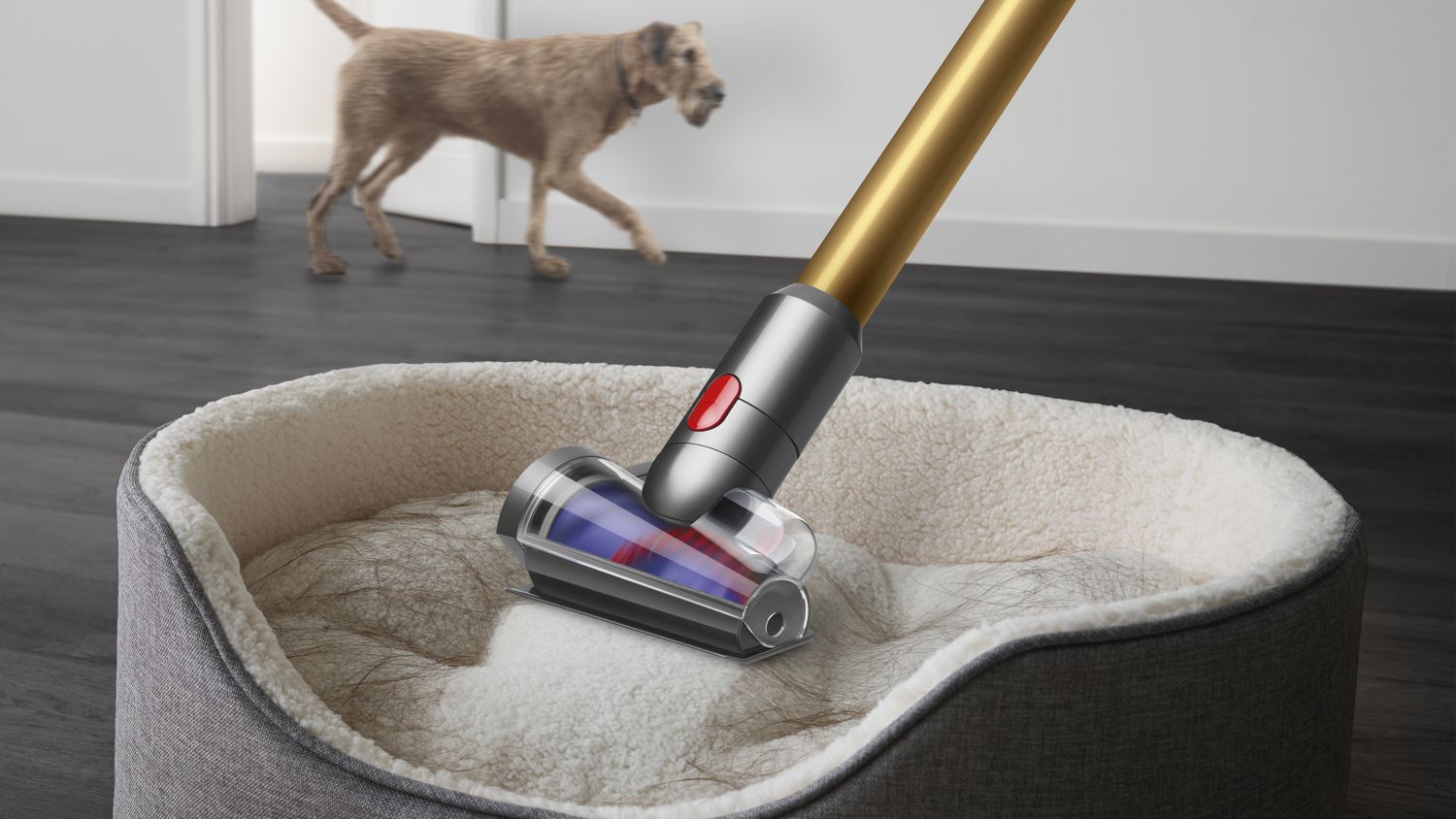 Dyson V12 Detect Slim Absolute (SV46 ABL EX) | 掃除機 | ダイソン公式
