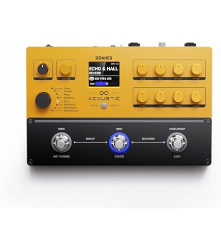 Amazon | L.R.BAGGS VENUE D.I. アコースティックギター用 プリアンプ