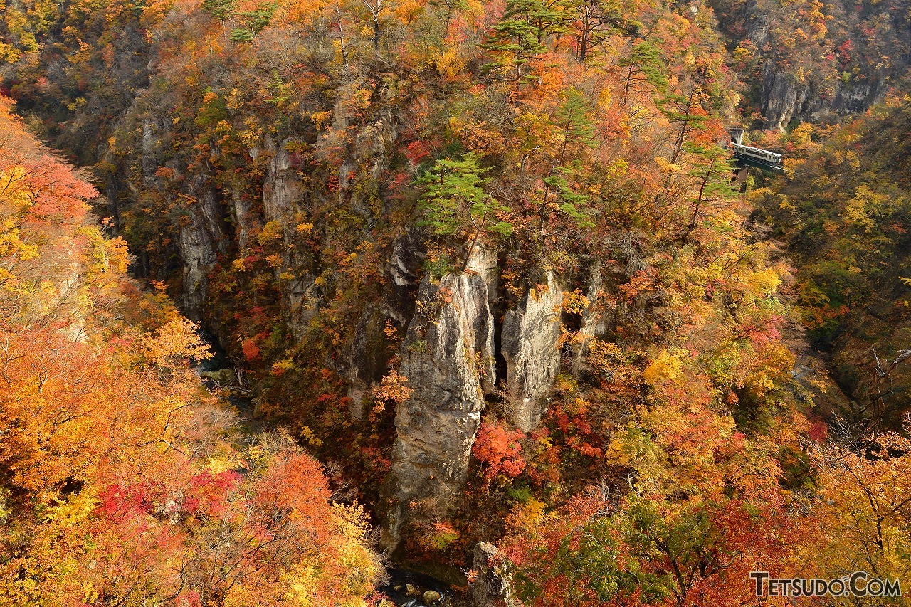 秋の鉄道風景写真は「逆光がベスト」!? 紅葉や黄金色の田園風景、中秋