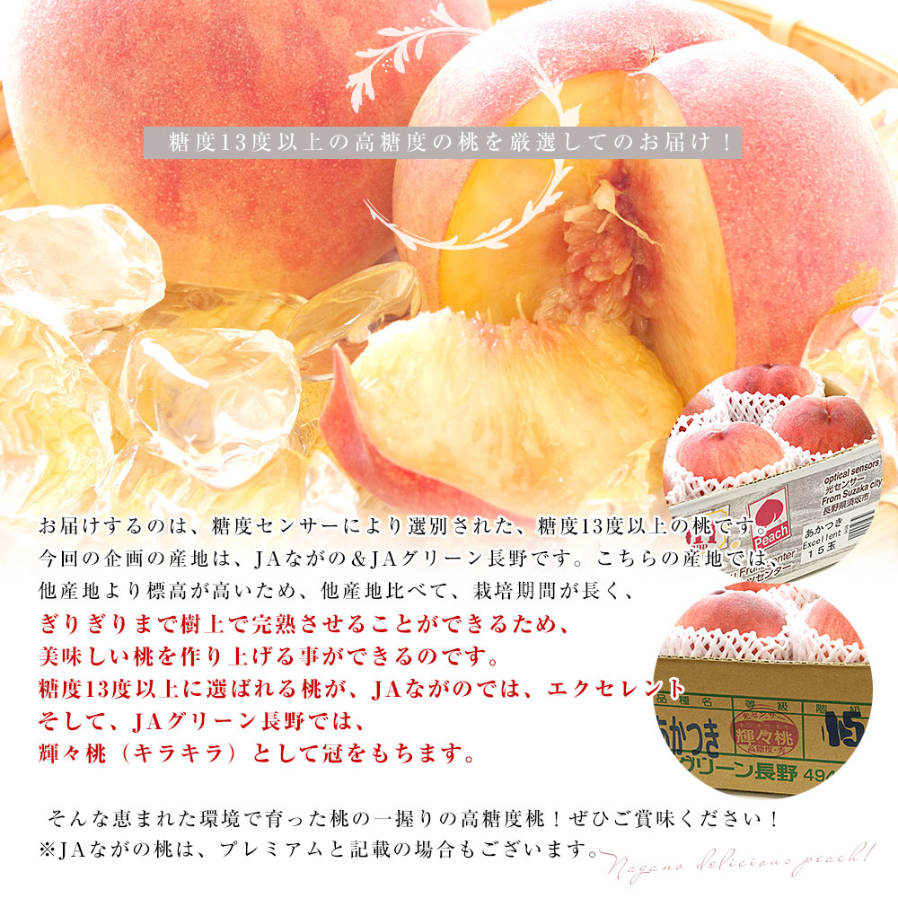 長野県 高糖度桃 約5キロ（15玉から16玉）※JAながの（エクセレント