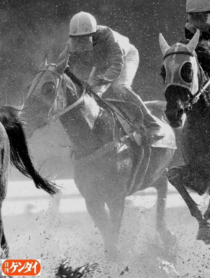 ハルウララの訃報が届きました。 残念です。 名手・武豊騎手も〝負け組