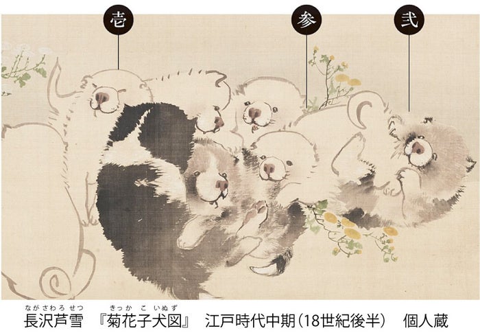 江戸時代の絵師・長沢芦雪が描いた「芦雪犬（ろせつけん）」をモチーフ