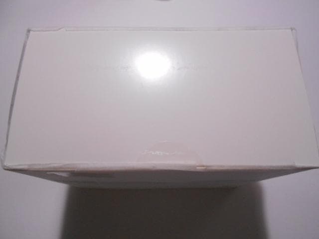 うまるちゃん ねんどろいど ネコロンブスカラー ver