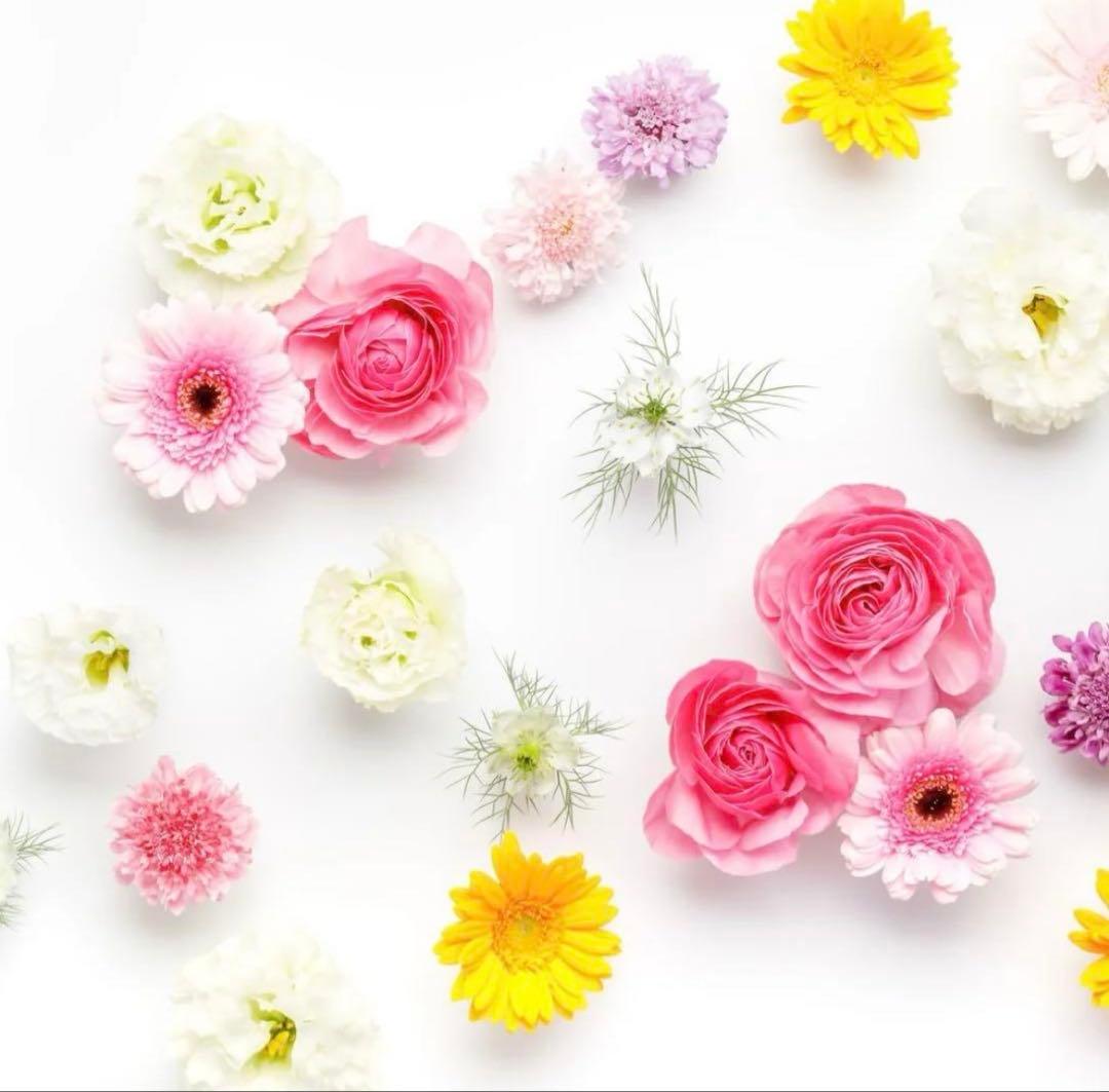 なつみ様 ナチュラルビューティーベーシック ◇スプリングツイード SETUP ジャケット（その他アウター）｜NATURAL